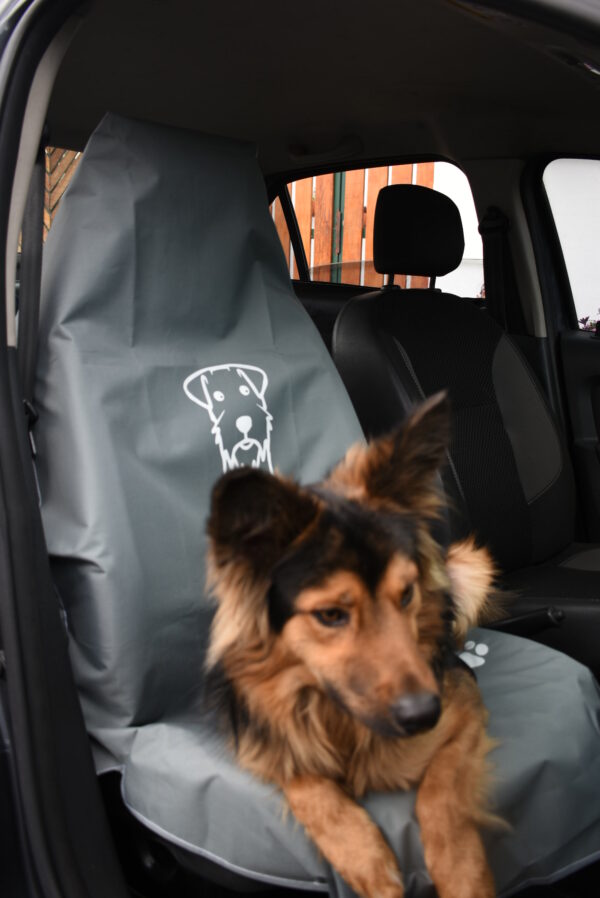 Kit Silla Delantera + Posterior - Imagen 3