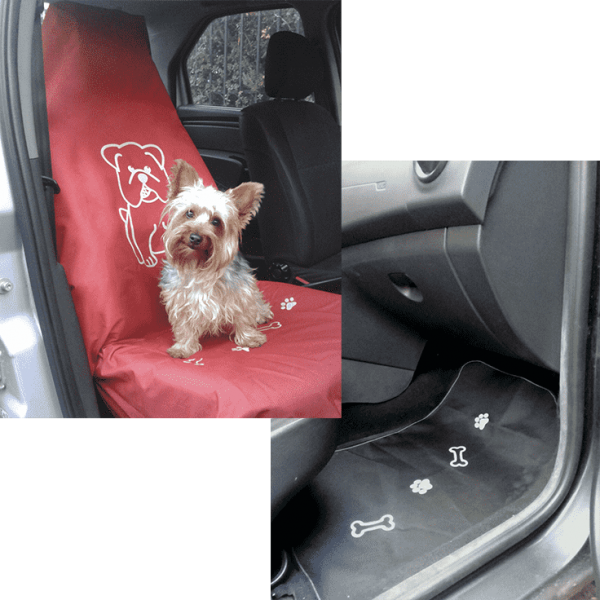 Kit de Silla Copiloto + Tapete de Copiloto